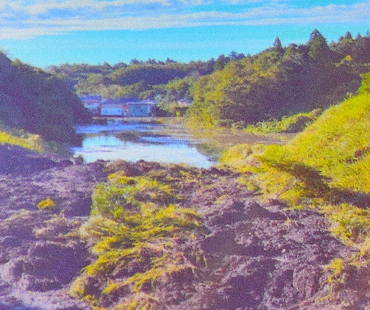 馬橋川の土砂崩落状況